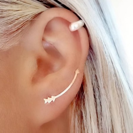 Arrow climber earrings in silver