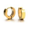Niagara Gold Earrings