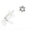 Star of David Earrings in 925 sterling silver